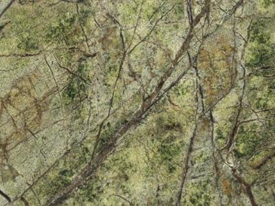 Rain Forest Green